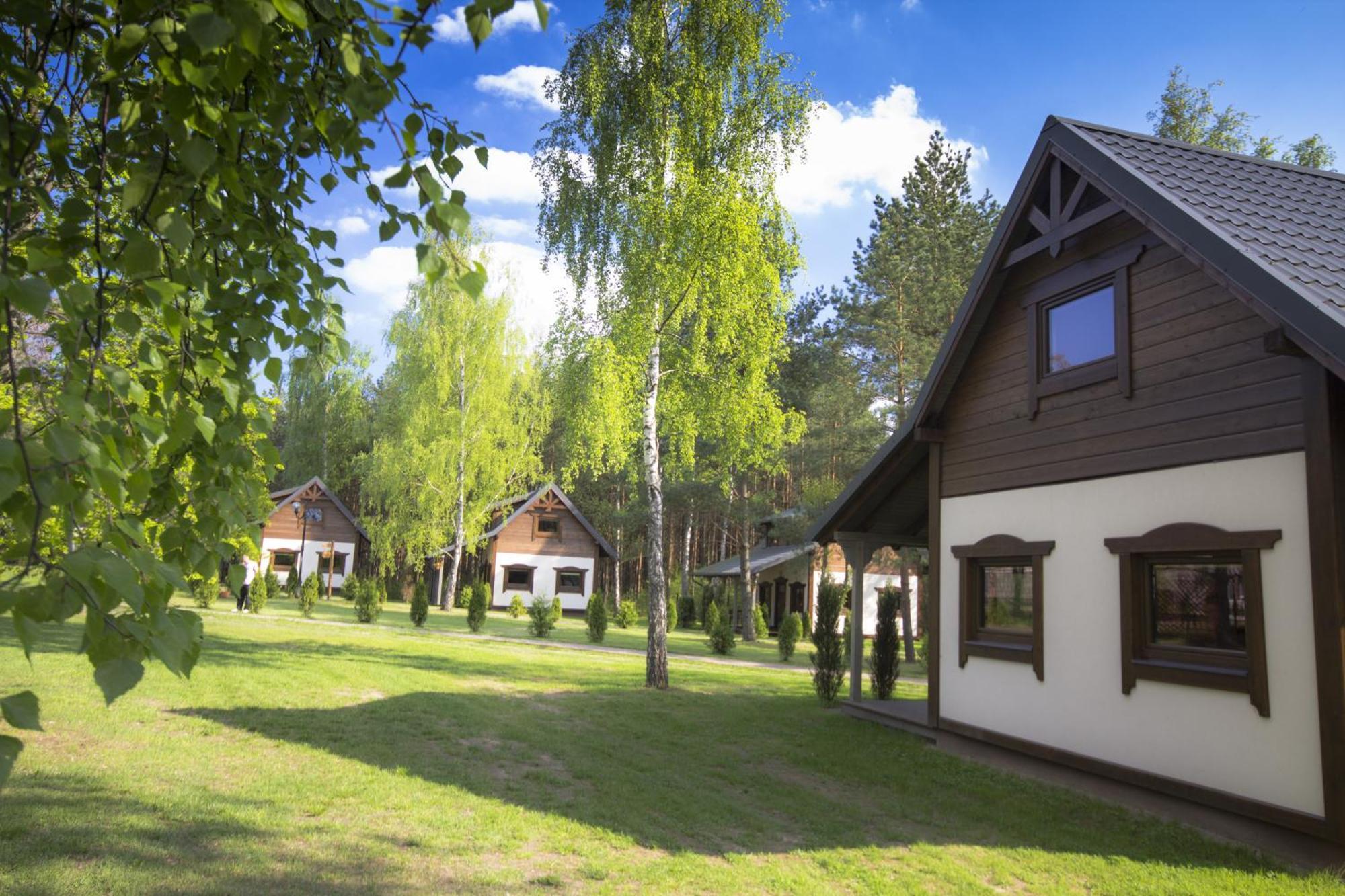 Niedzwiadek