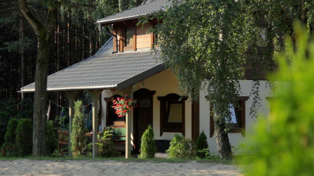 Niedzwiadek